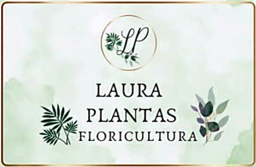 LAURA PLANTAS FLORICULTURA Uruguaiana RS