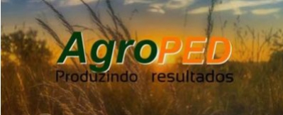 AGROPED AGROPECUÁRIA Uruguaiana RS